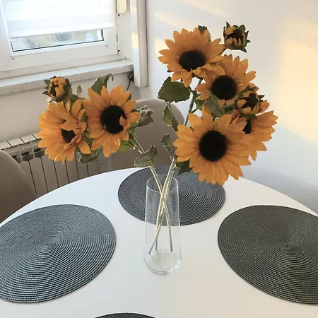 Le Soleil *